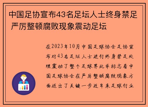 中国足协宣布43名足坛人士终身禁足 严厉整顿腐败现象震动足坛